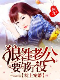 枕上宠婚:狼性老公要够了没