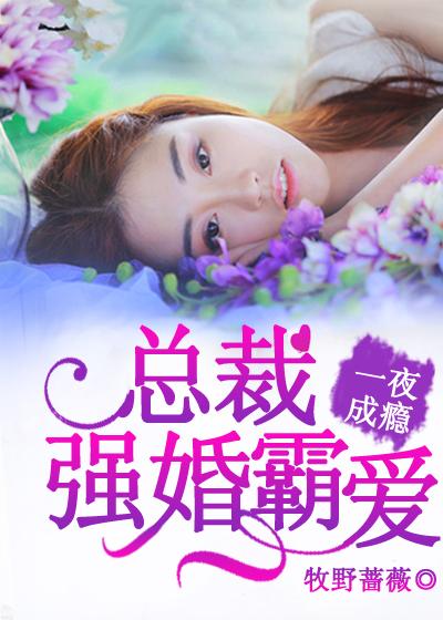 一夜成瘾:总裁强婚霸爱